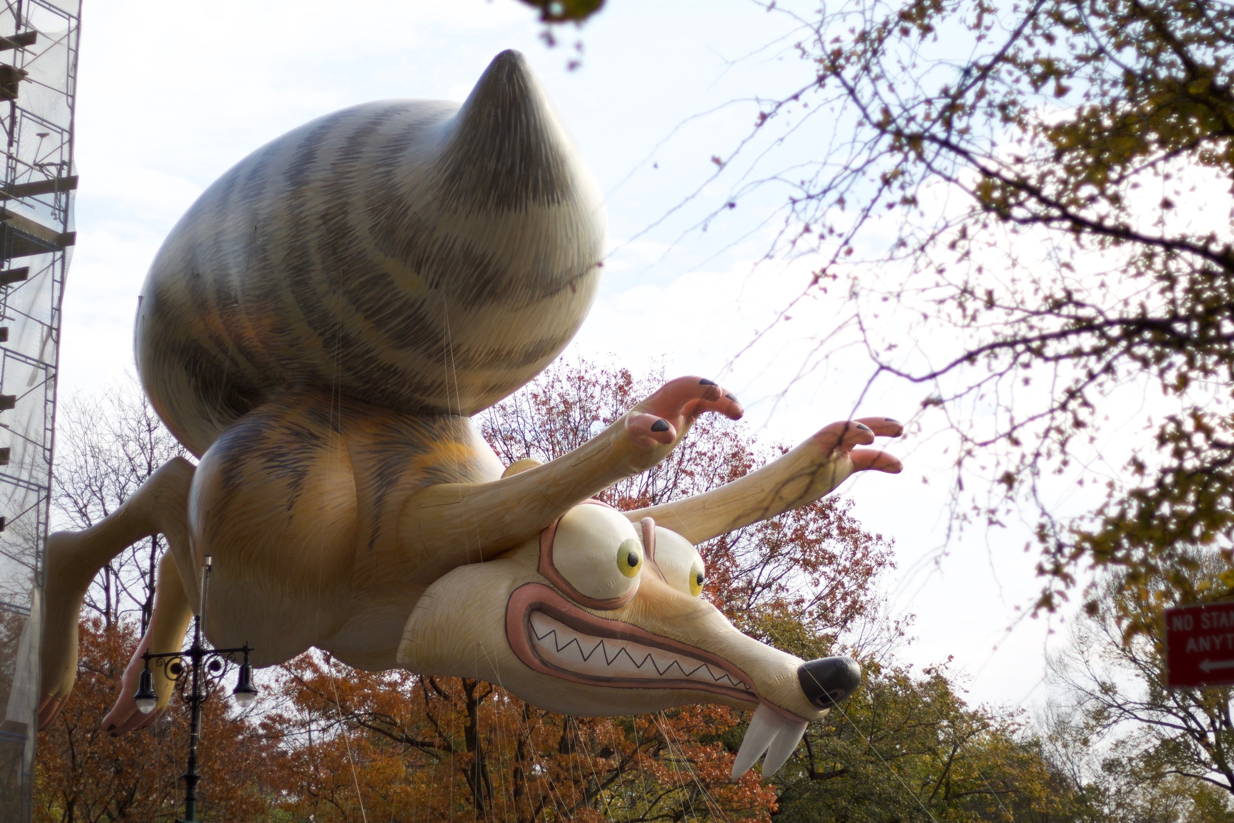 Anthony LeDonne is Weirded Out By This Squirrel.jpg