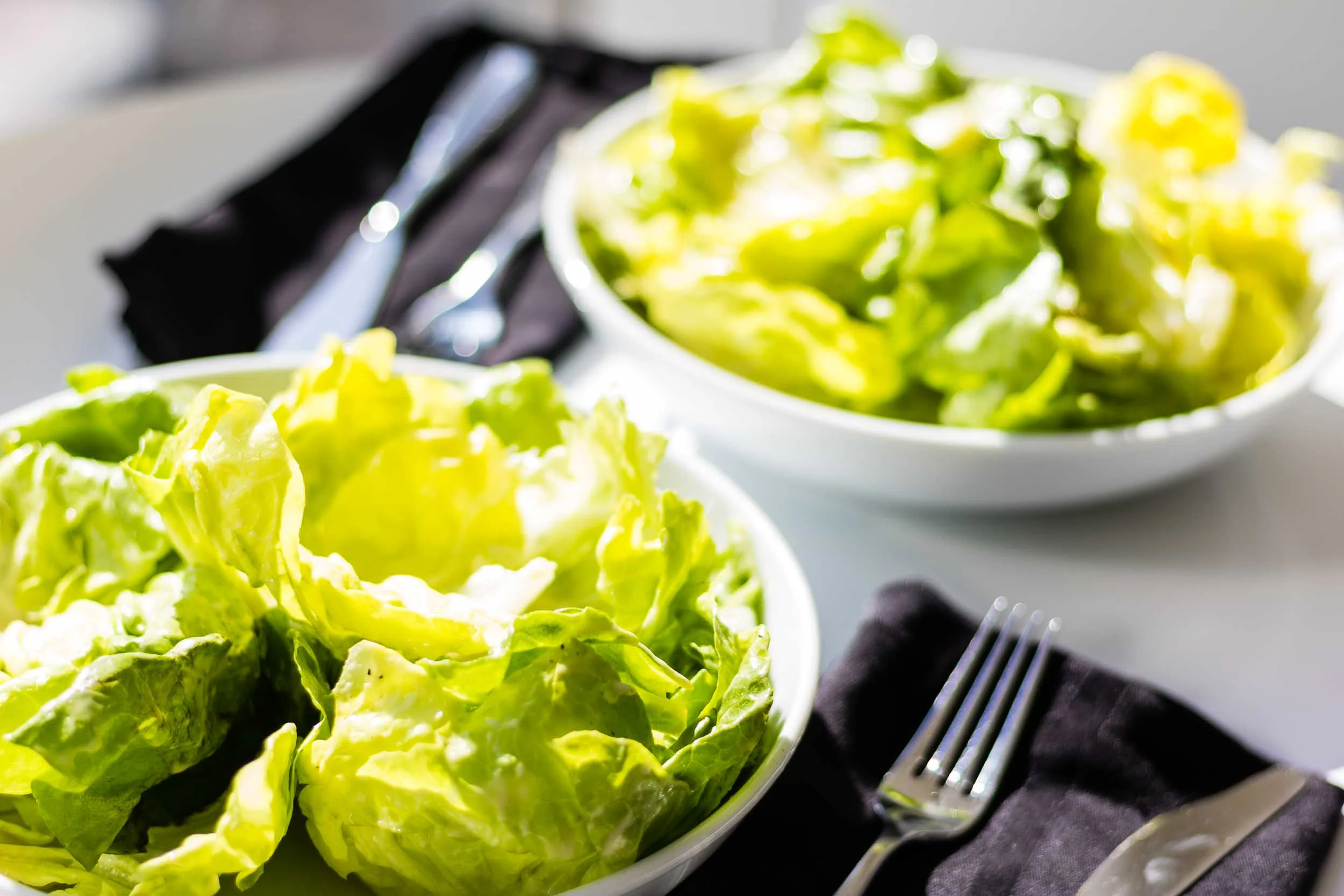 Bibb Lettuce Salad