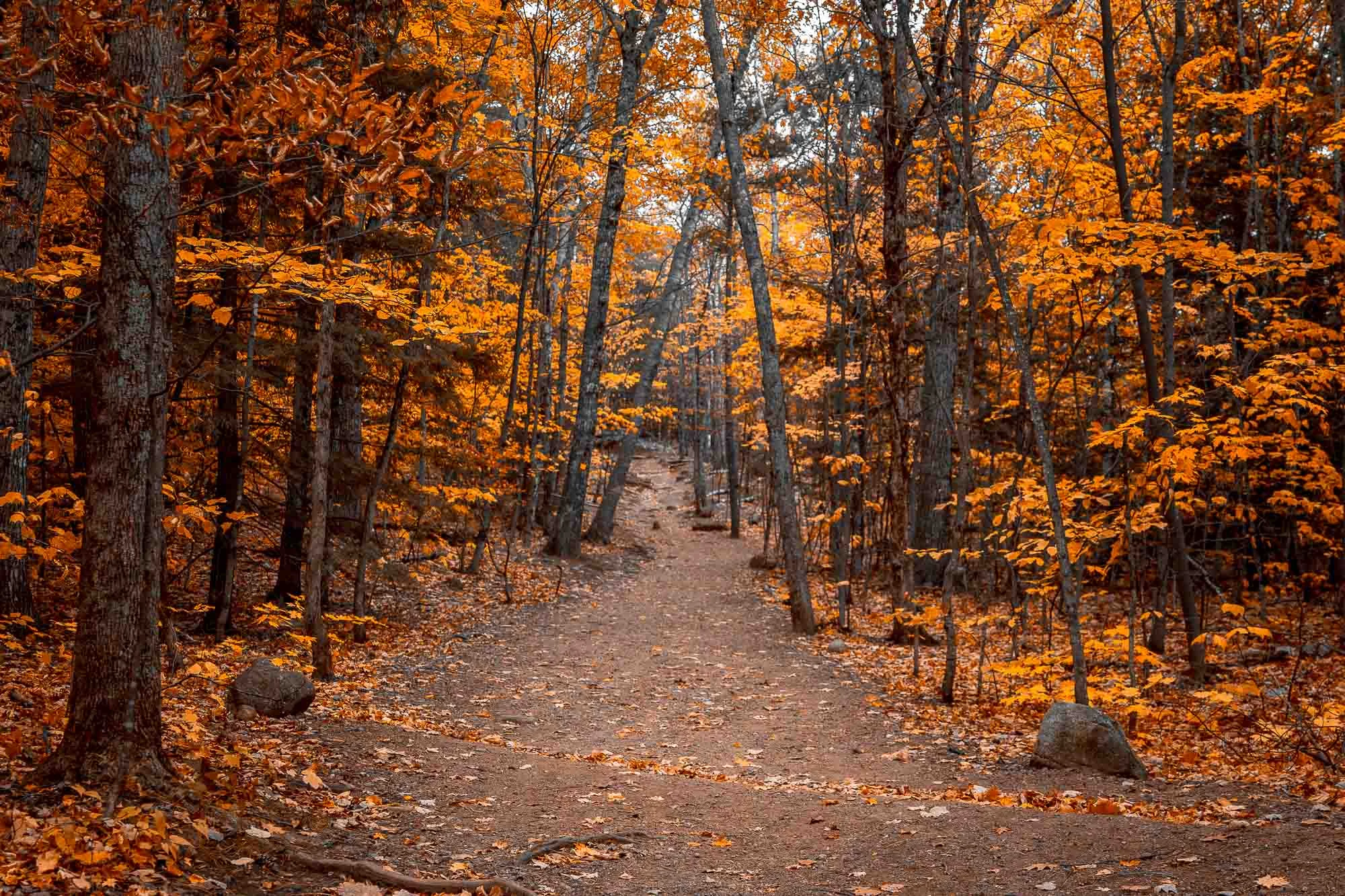 20181023-New Hampshire (Day Two)-0003-2.jpg