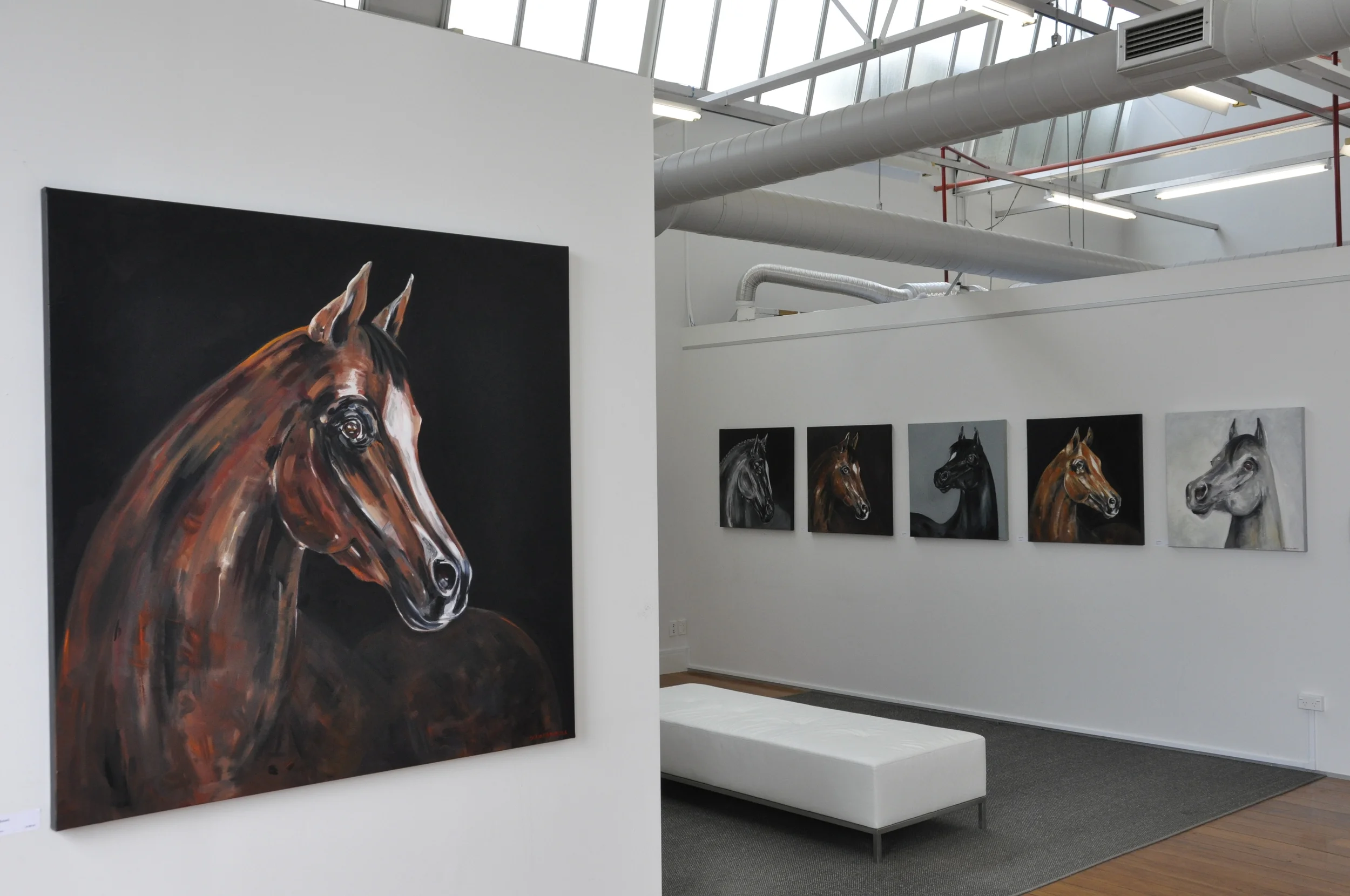 Horse portraits 2013 / 14