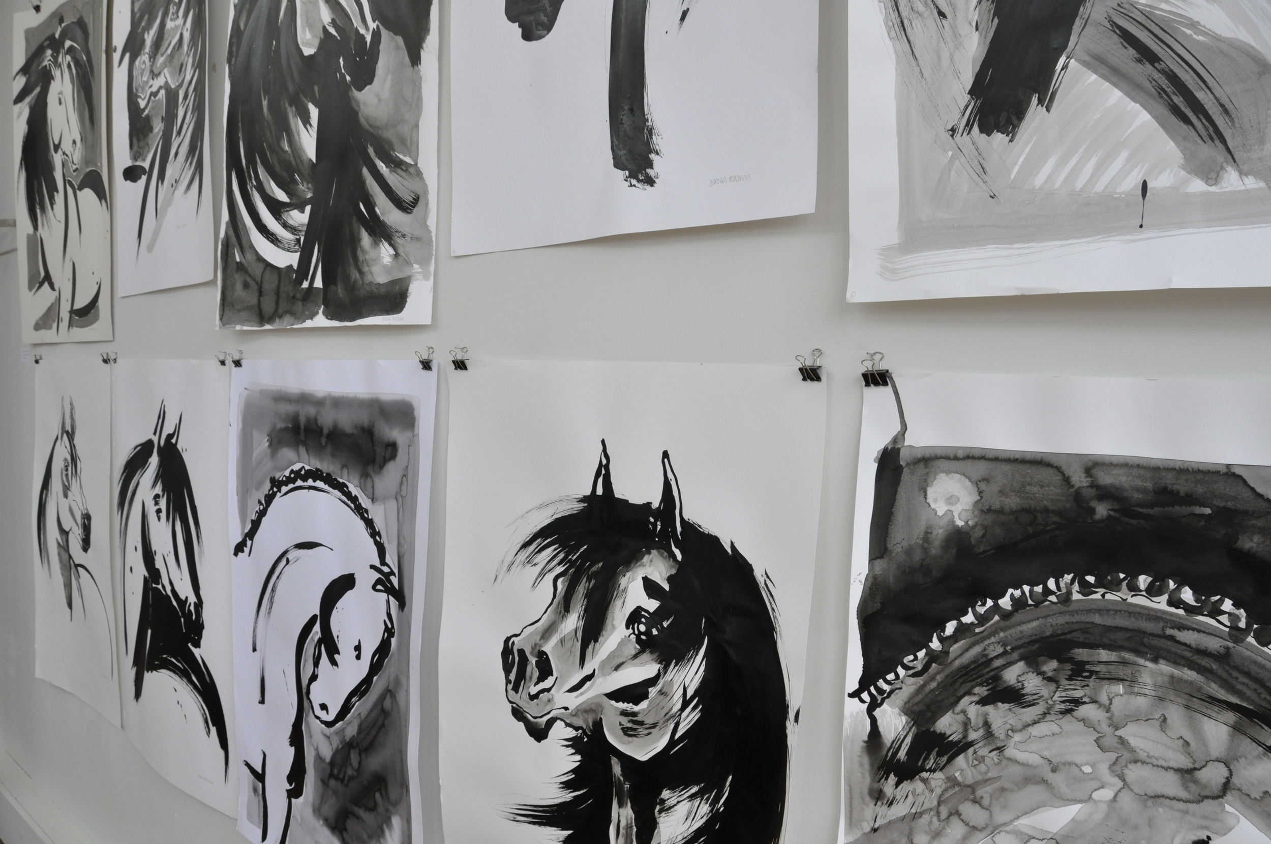 Horse studies 2013 / 14
