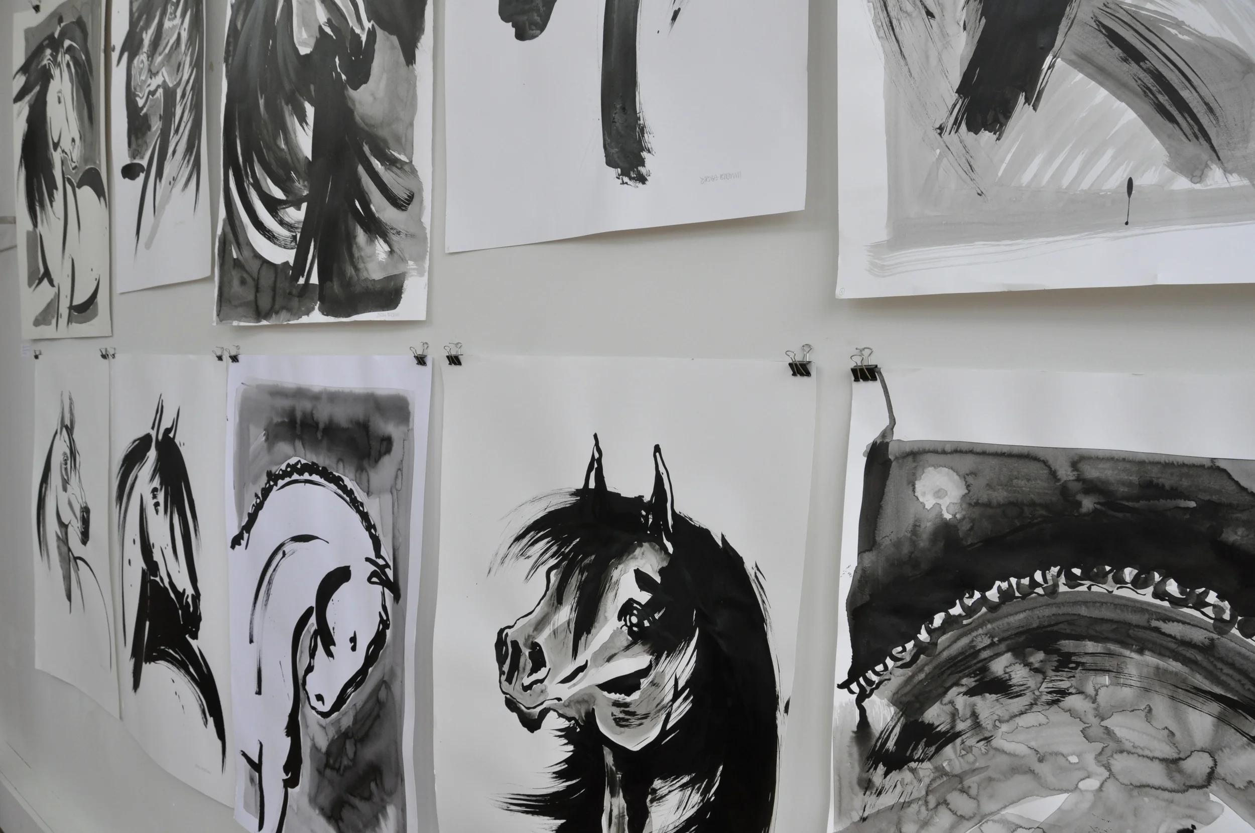 Horse studies 2013 / 14