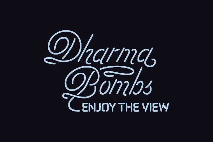 Logo for Dharma Bombs, a band.
