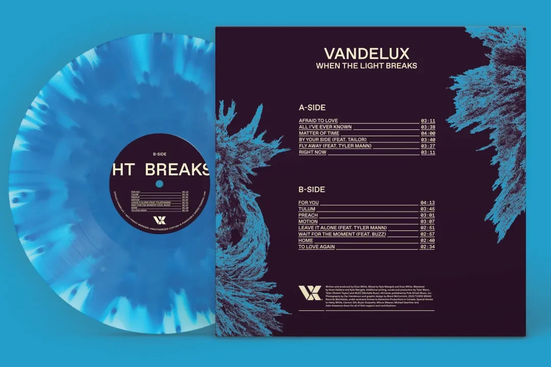 Back cover artwork for Vandelux vinyl