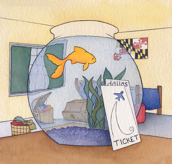 FISH1_fin.jpg