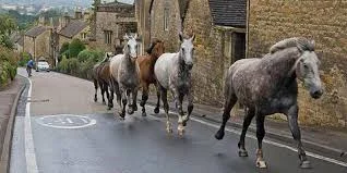 Going Rogue on Trade