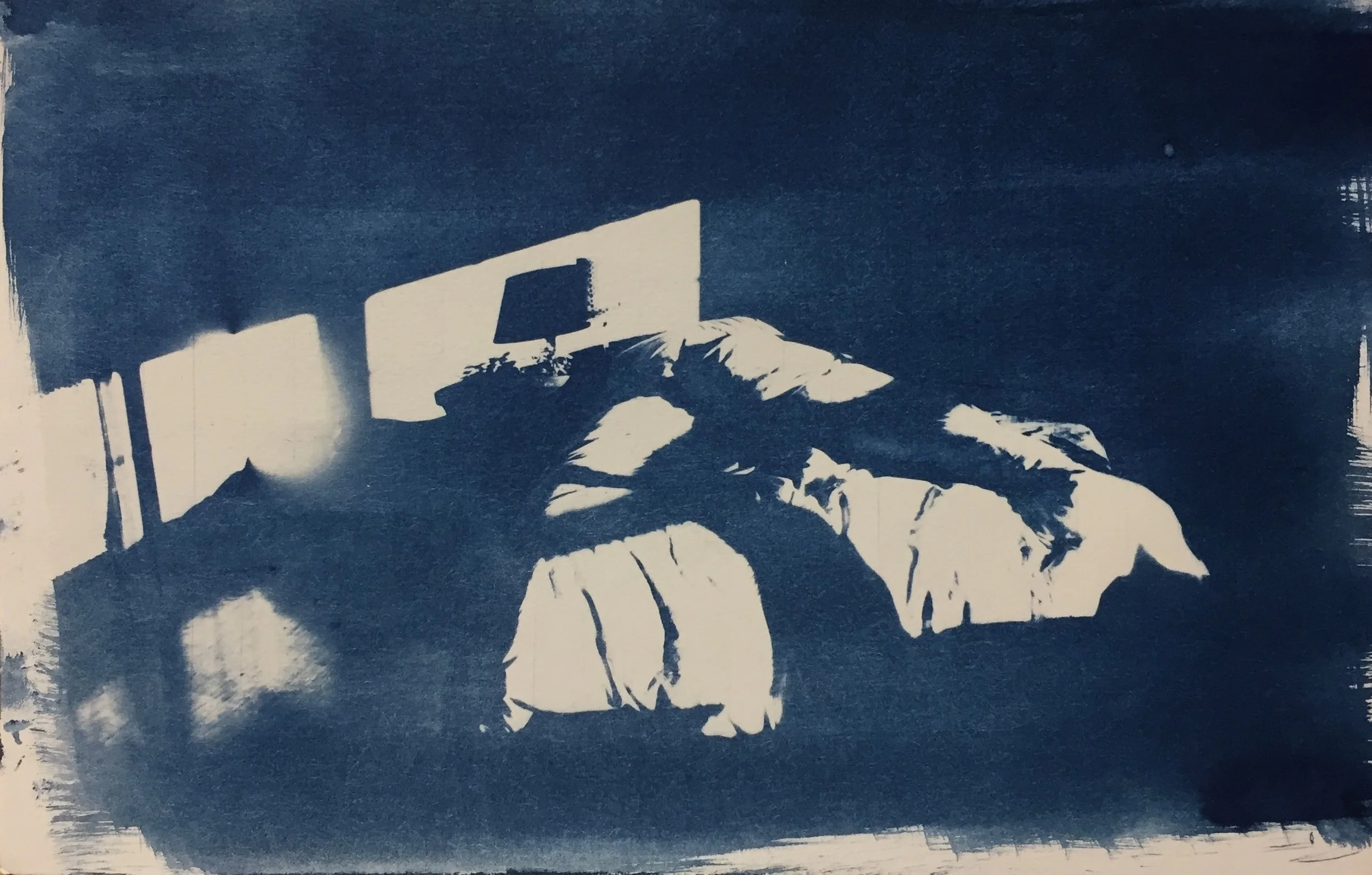 Phinney Ridge Apartment 