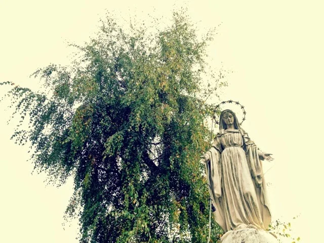 Day 28: Choye (which was meant to be Gy)