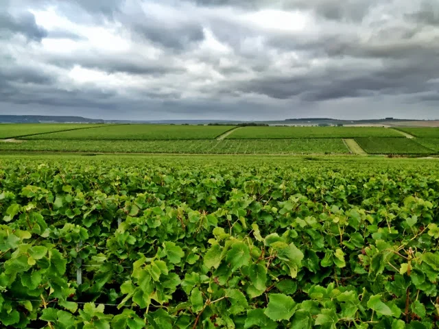 Reims to Brienne-le-Chateau in photos