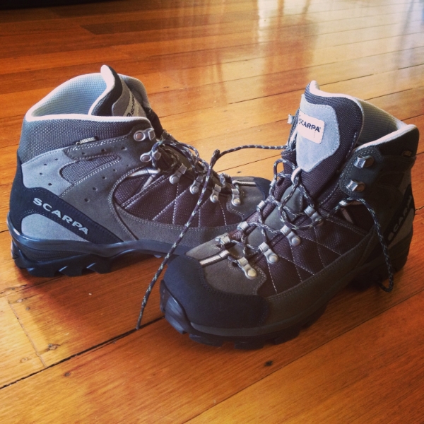 Boots # 3. Are these "the ones"? I hope so.