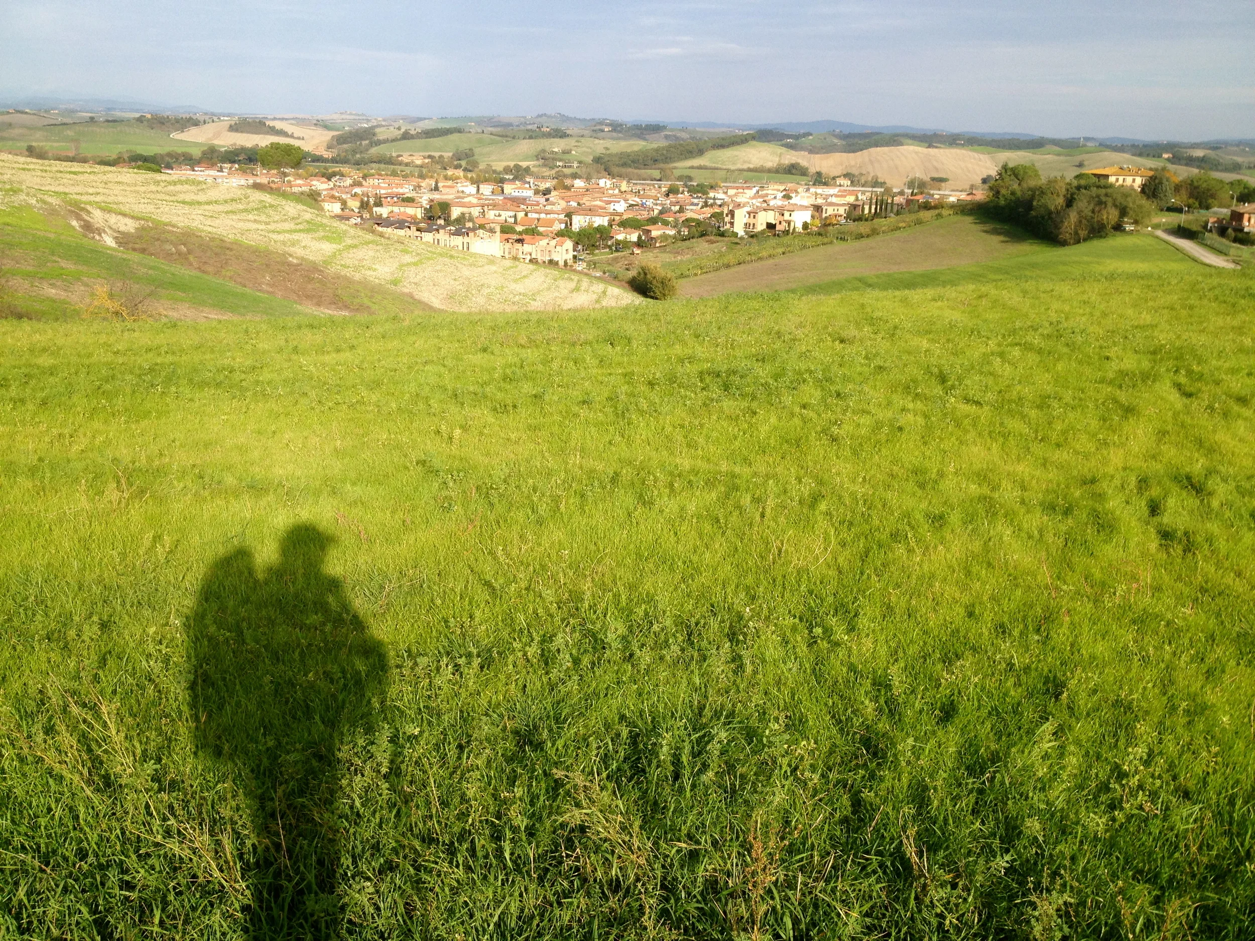 What are the possibilities?