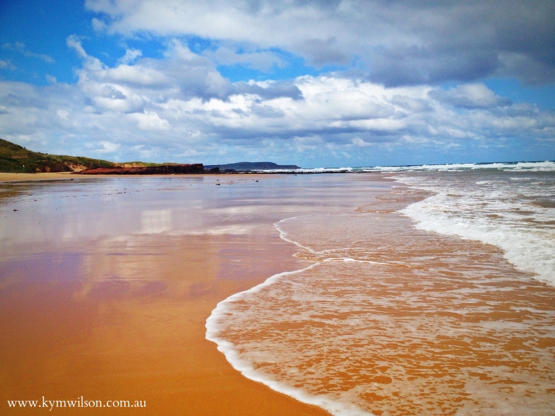 The Call of the Wild