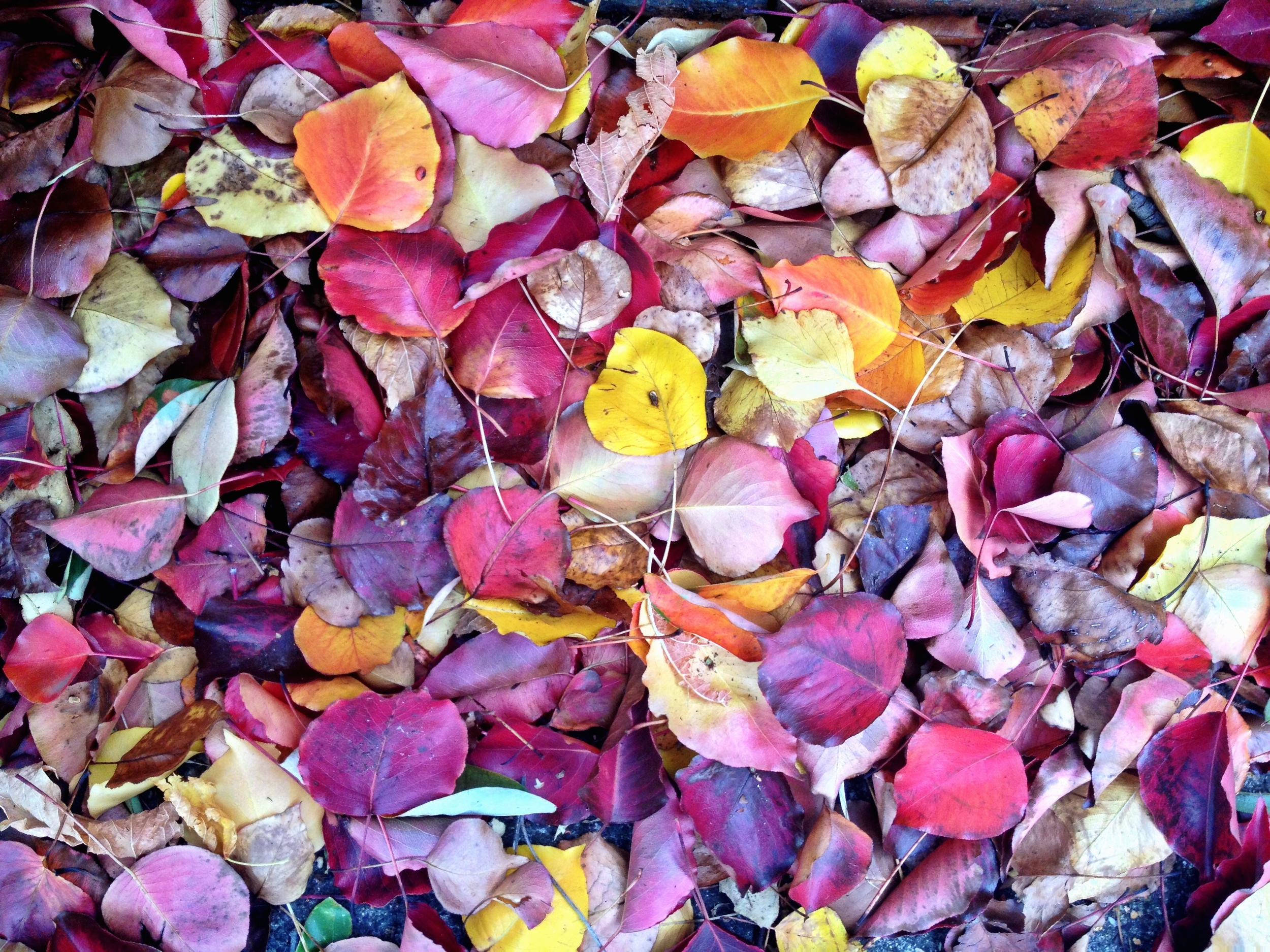 A story about falling and its lessons