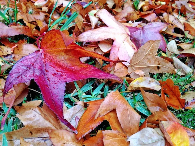 Ending this fall of silence