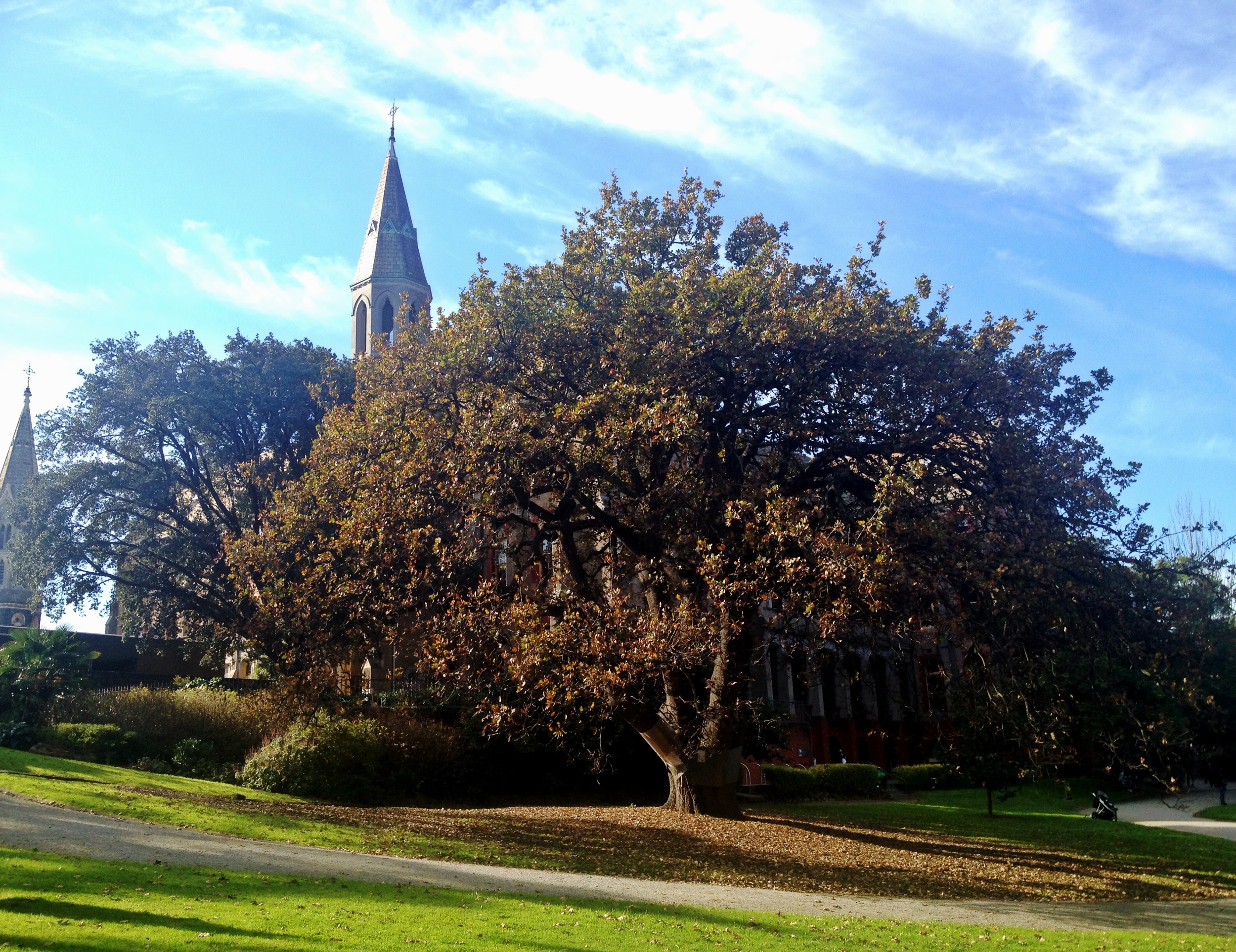 The power of silence