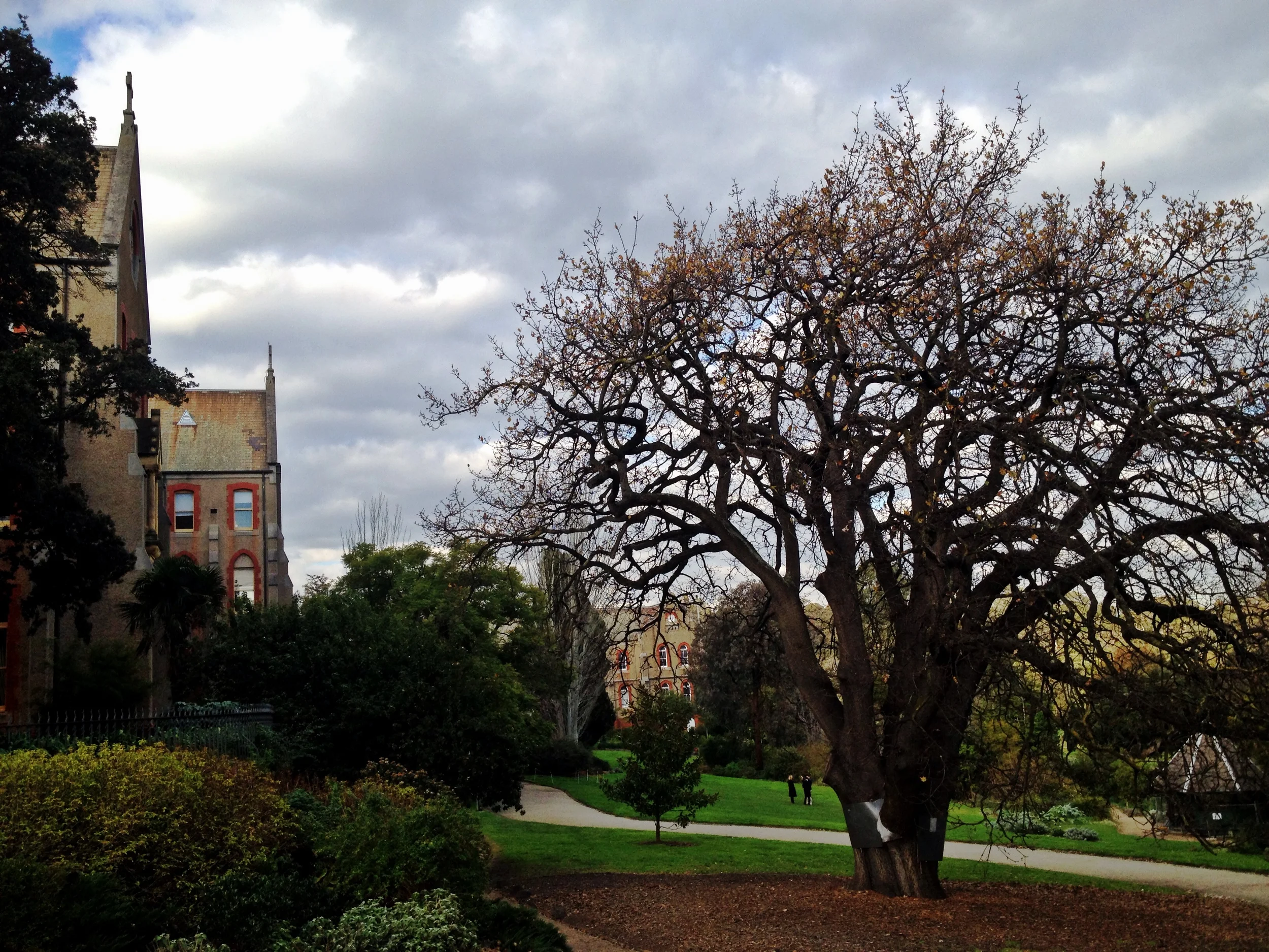 The training of surrender