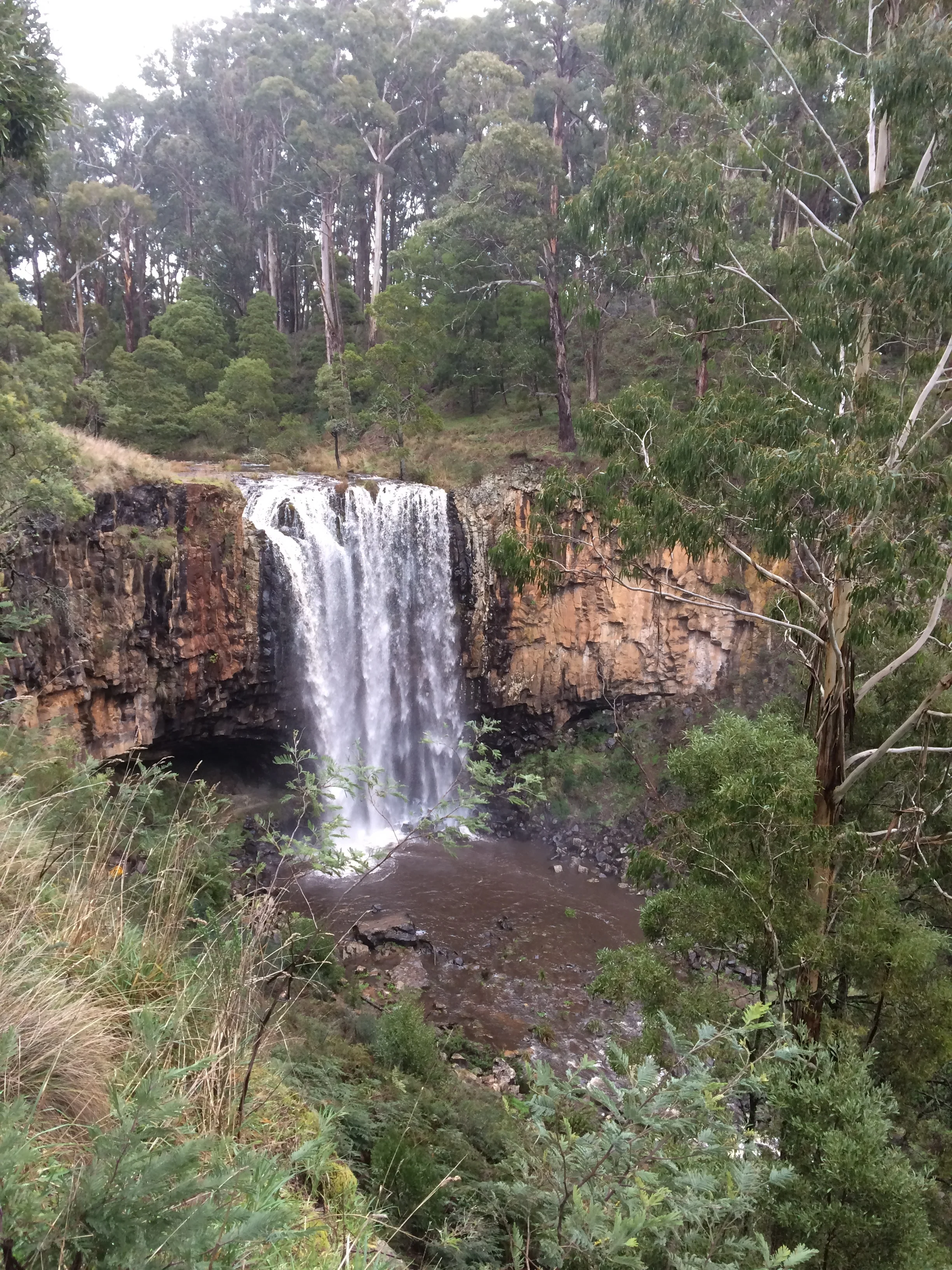 Don’t hold back, your inspiration is the medicine we need