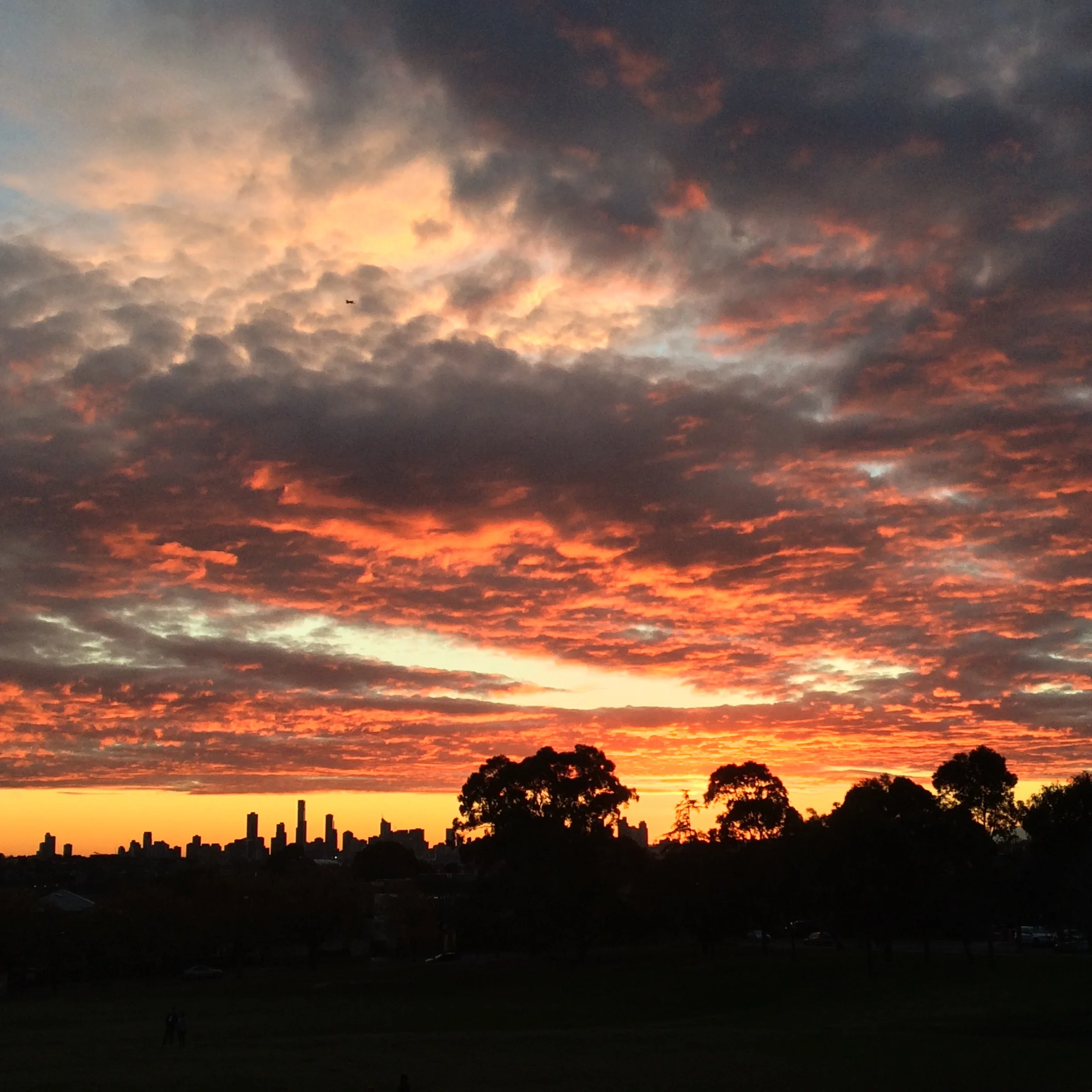 Something intelligent and creative wants to be lived through you