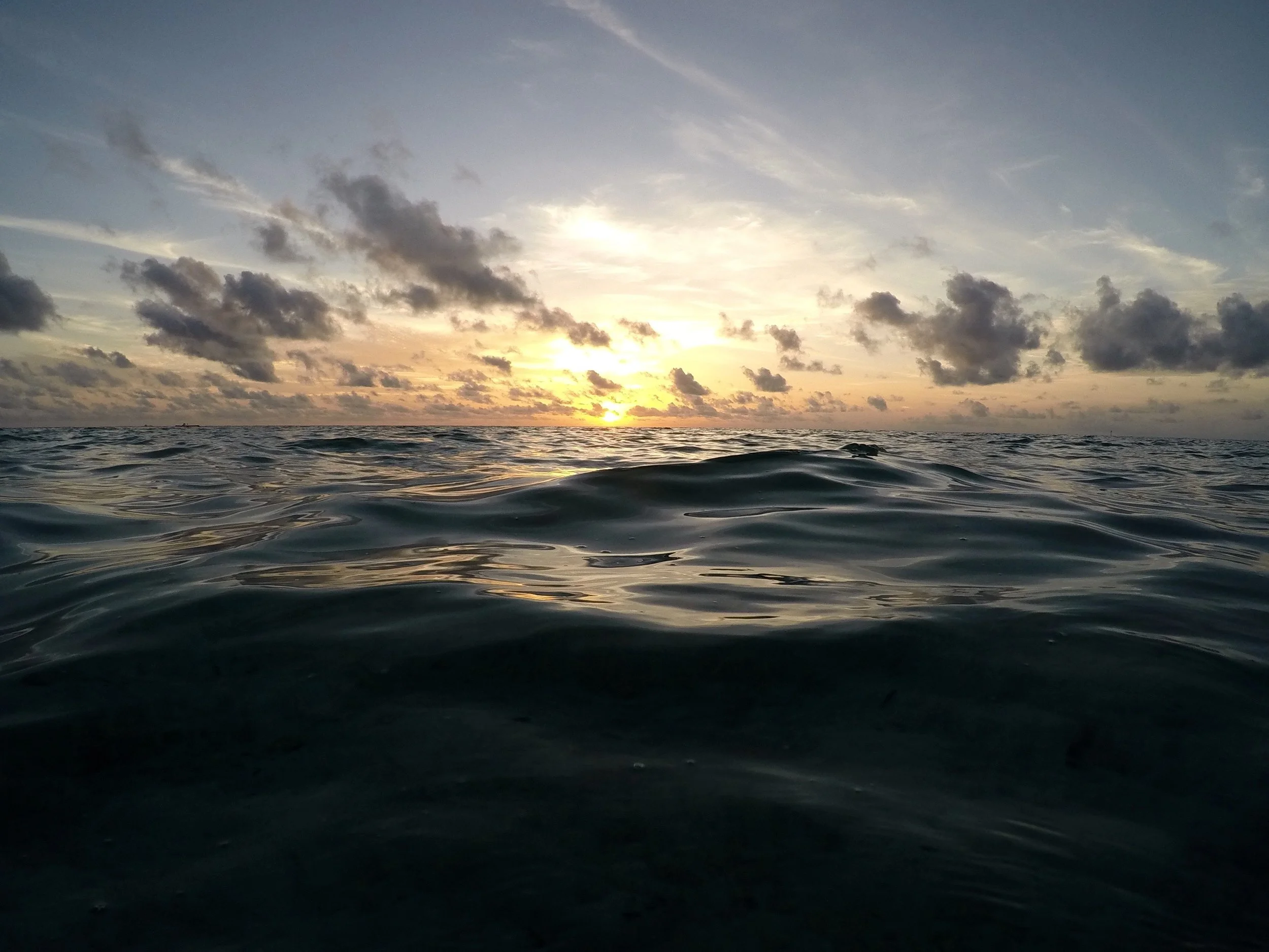 Amazing things happen beneath the surface