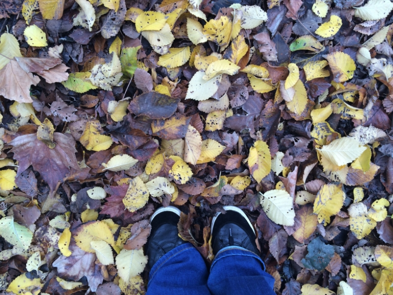 Rediscovering the thread: an urban pilgrimage