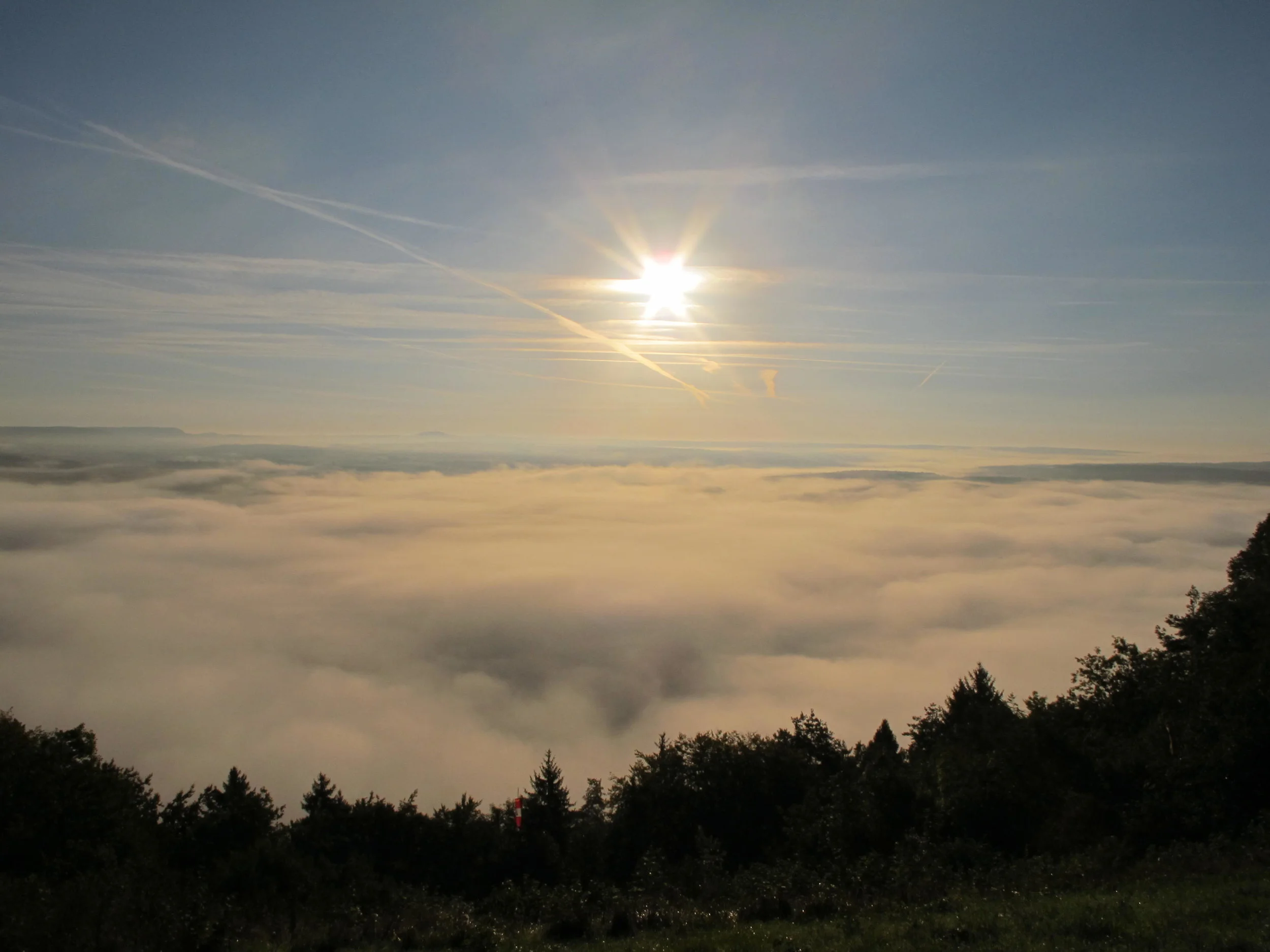 Seek the silence beneath the noise