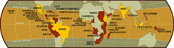 Coffee Belt.gif