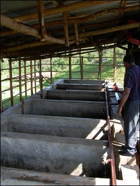 Fermentaion Tanks.jpg