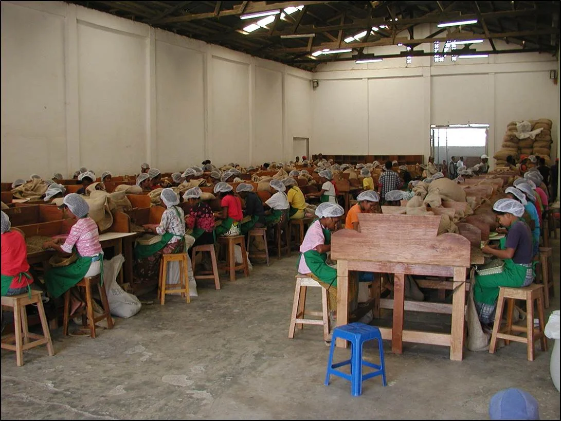 Hand Sorting.jpg