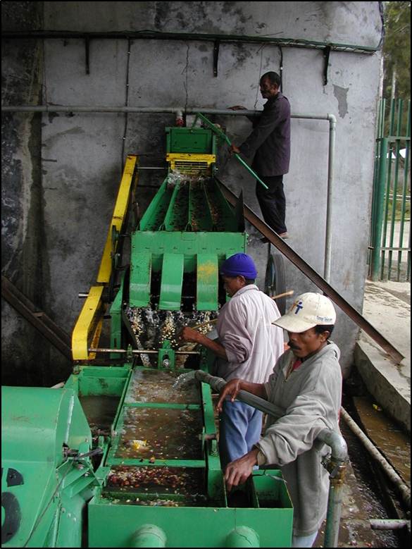 Pulping 2.jpg