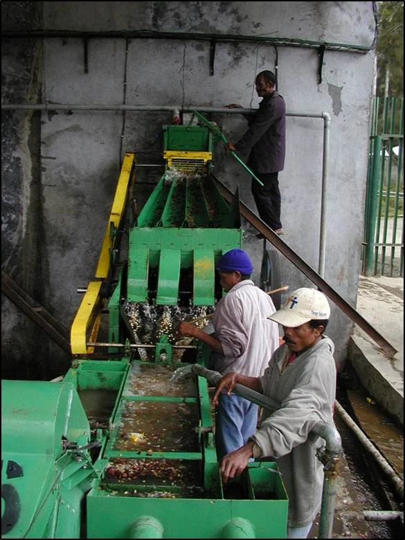 Pulping 2.jpg