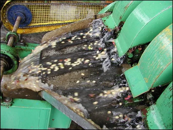 Pulping.jpg