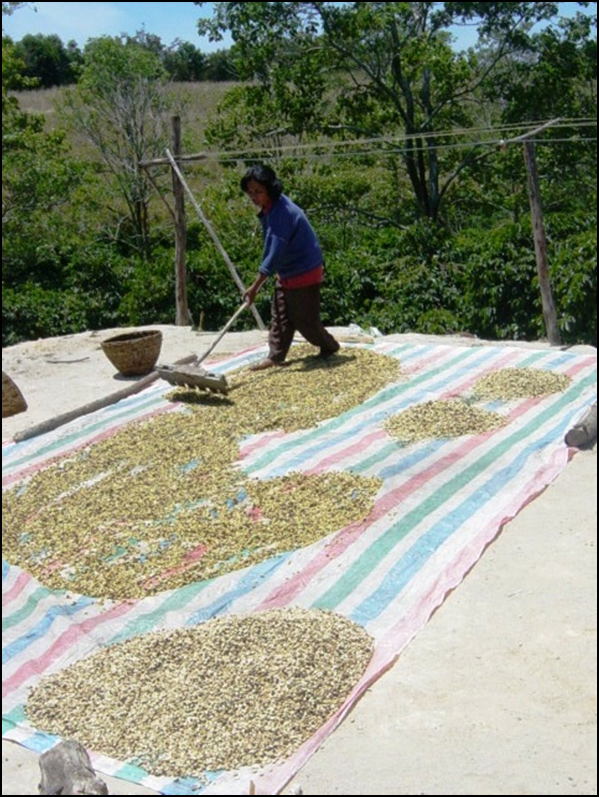 Small Scale Drying.png