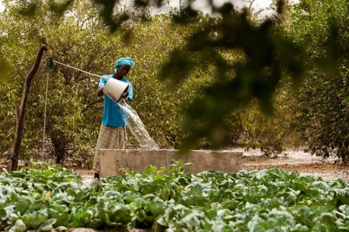 Source: FAO