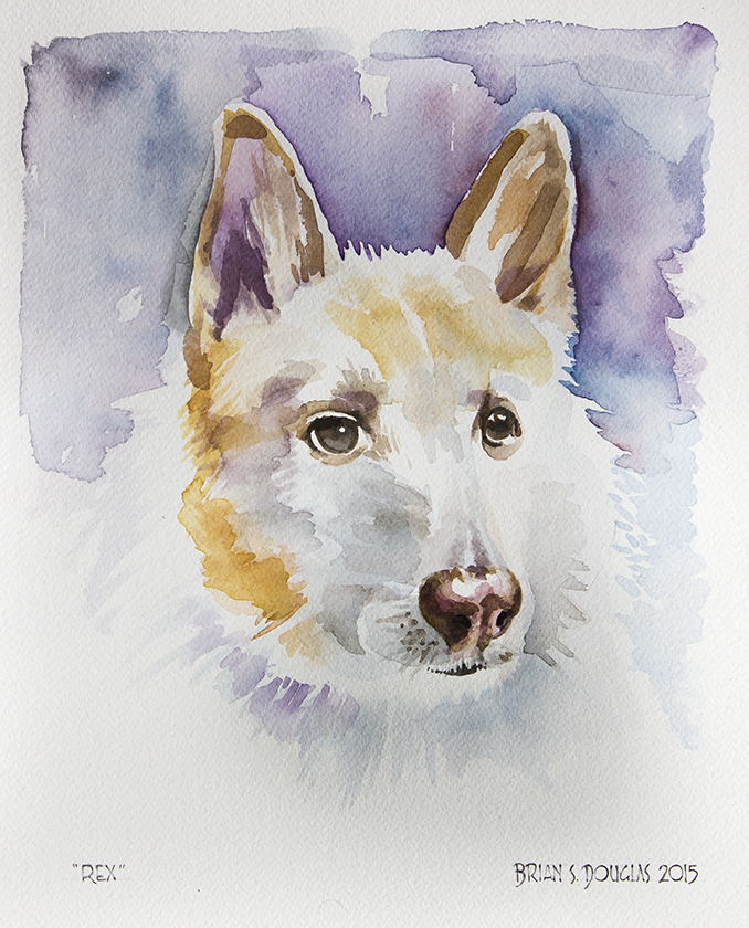 Rex_Watercolour.jpg