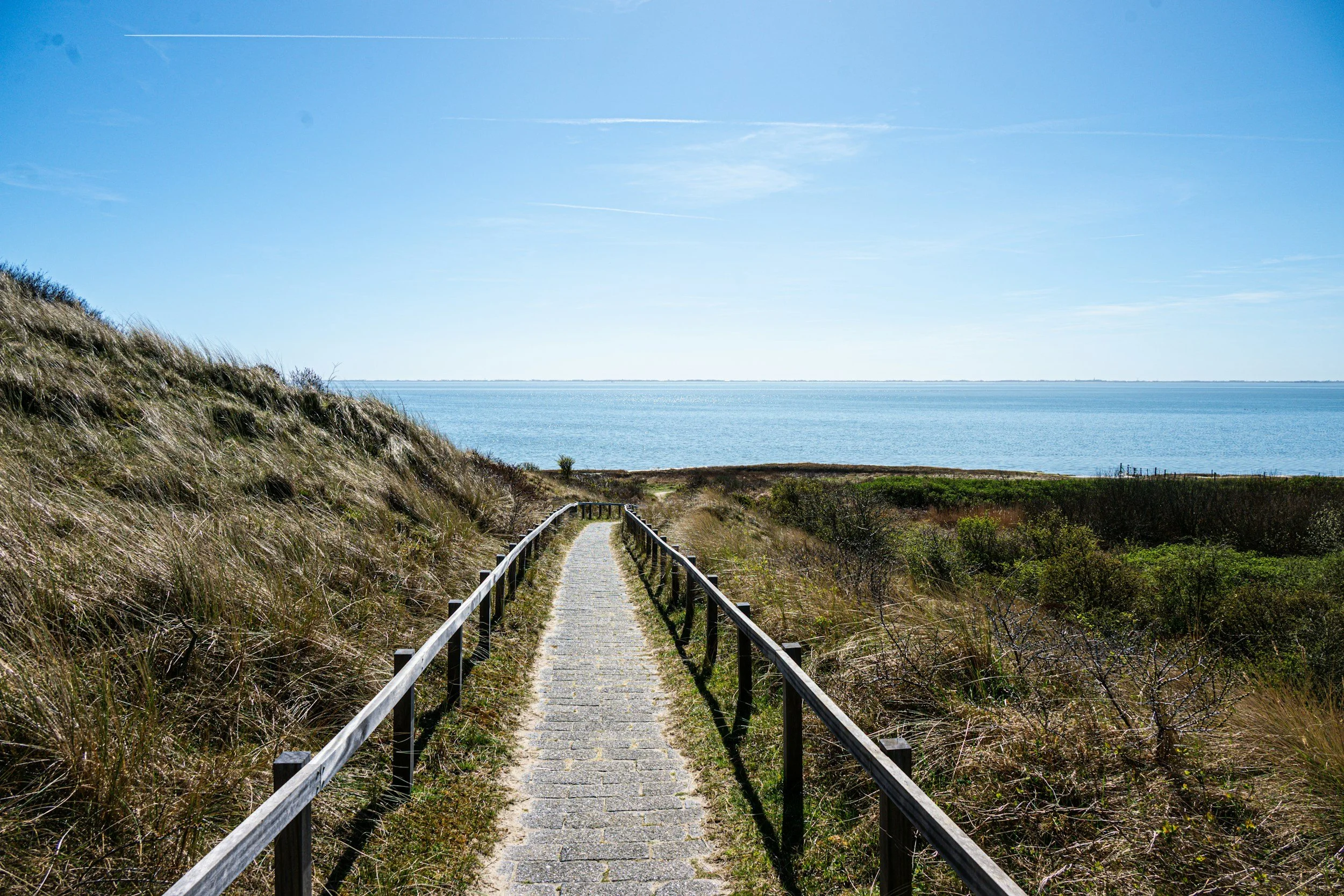 unsplash-image-rDZKcSeMQTM.jpg