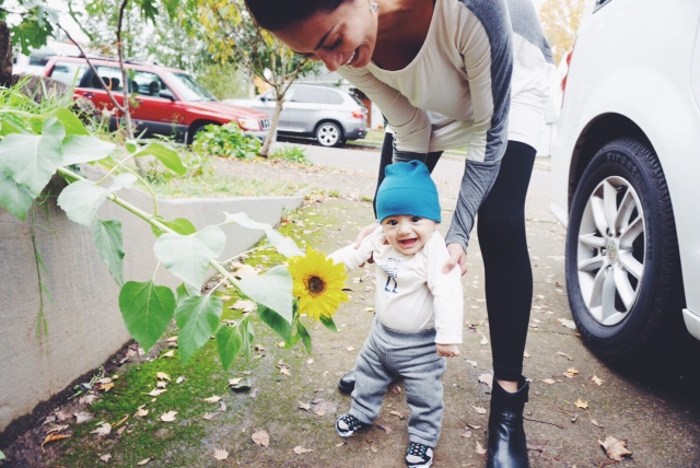 S is for sunflower. 