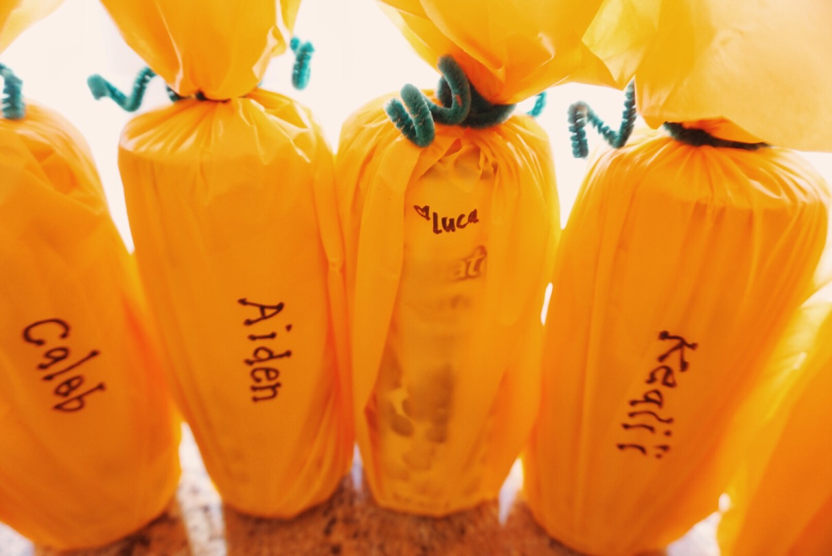 I didn't have time to make cute pumpkin faces on the bottles, so I ended up writing the kiddo's names and then signing Luca's name on the back.