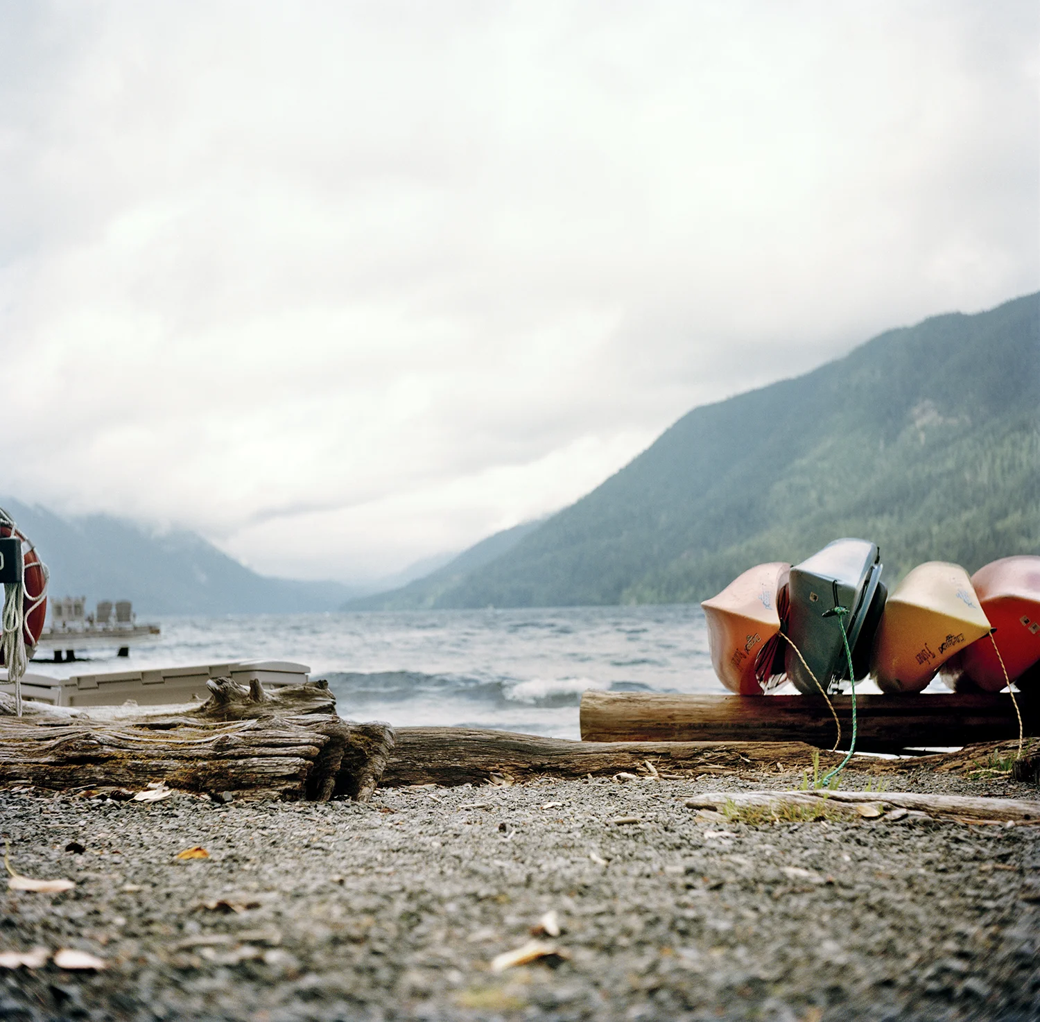 boats_w.jpg