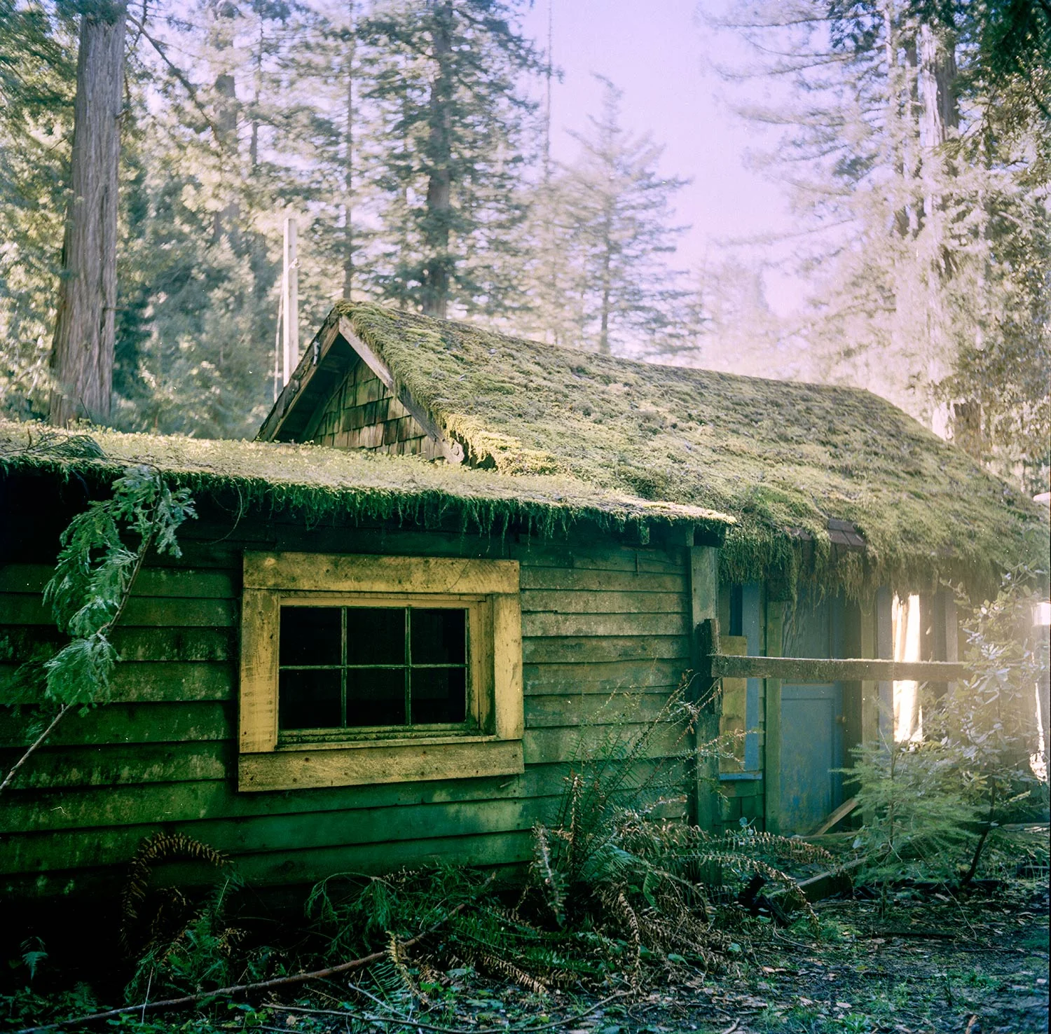 HG_house.jpg
