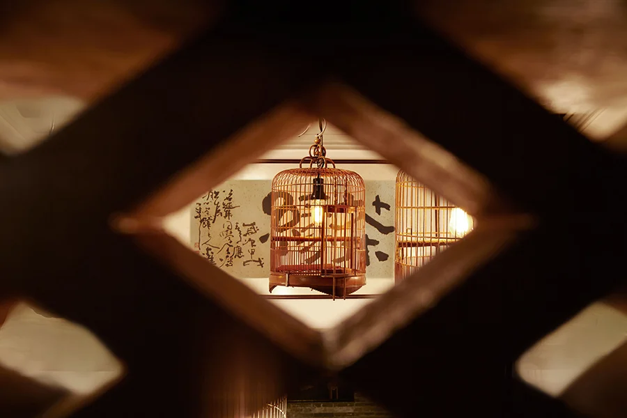 Hello, Miss Belated Winter.