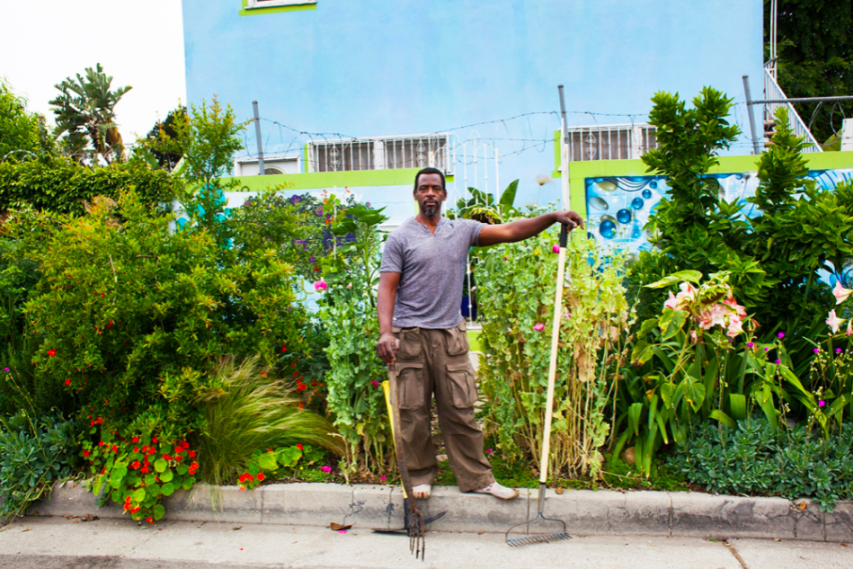 美國吉事 社區菜園免費共享的力量 Guts In The Us Community Garden For Free Food One Bite Design Studio