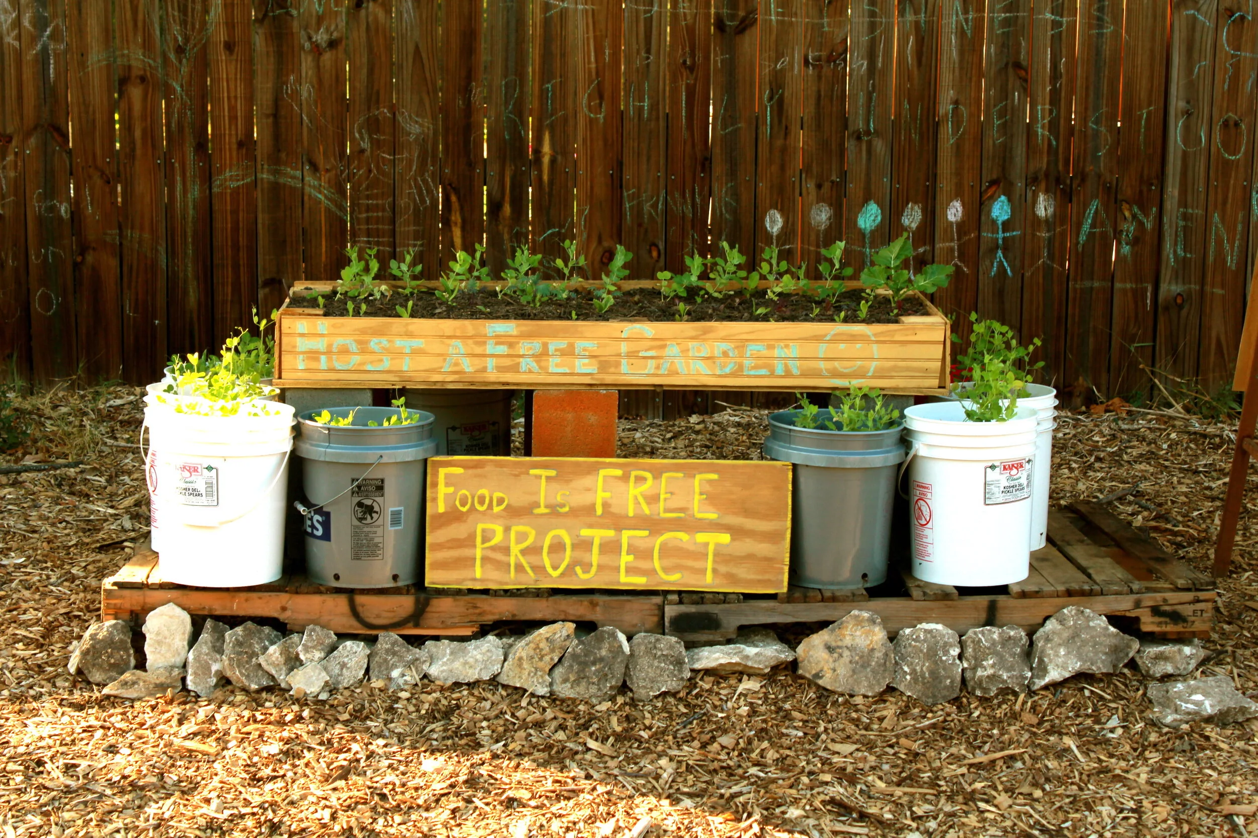 美國吉事 社區菜園免費共享的力量 Guts In The Us Community Garden For Free Food One Bite Design Studio