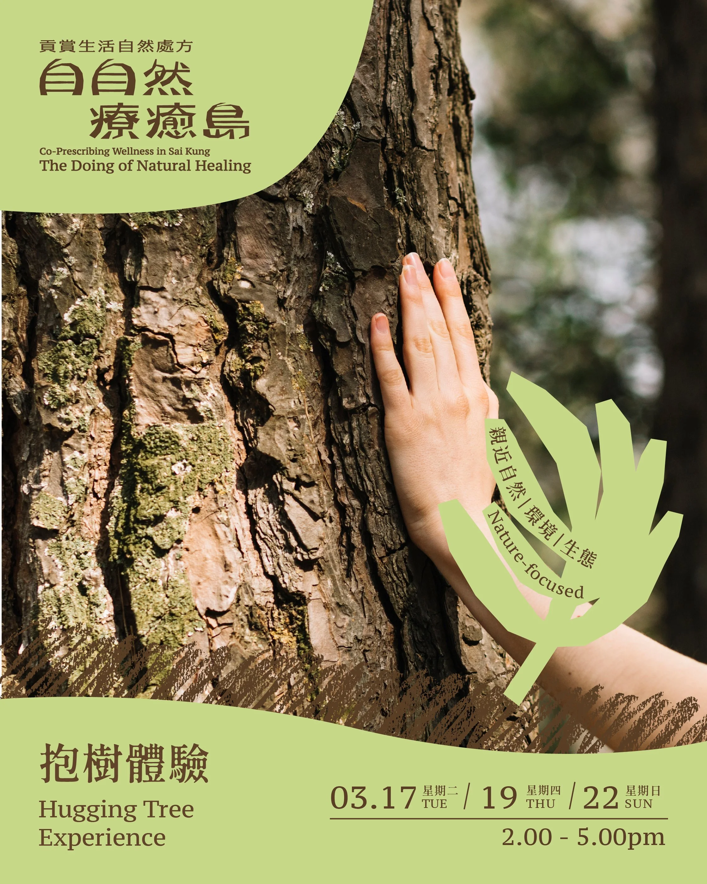 抱樹體驗 Hugging Tree Experience