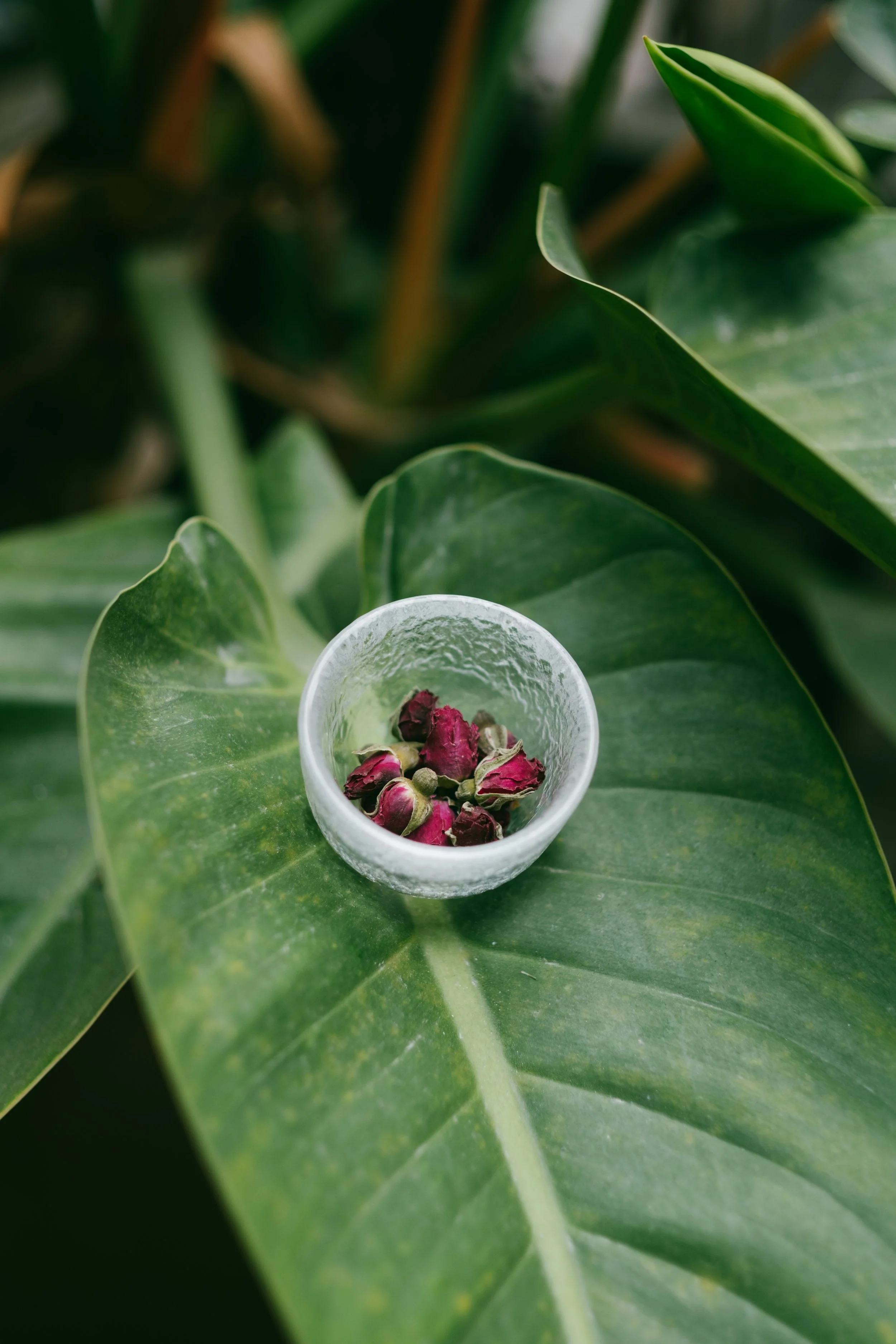 20260313-SK gift set-5.jpg