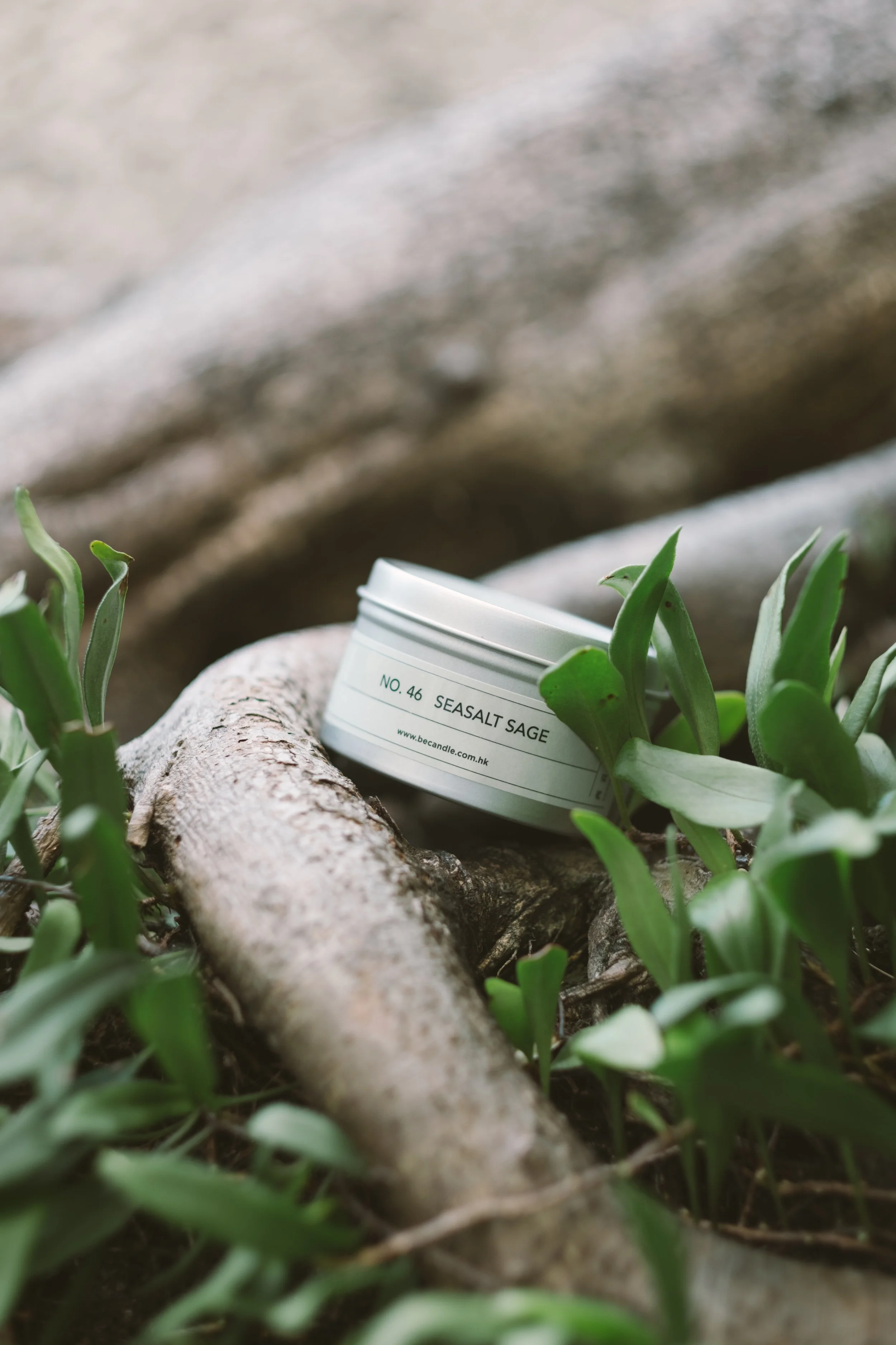 20260313-SK gift set-1.jpg