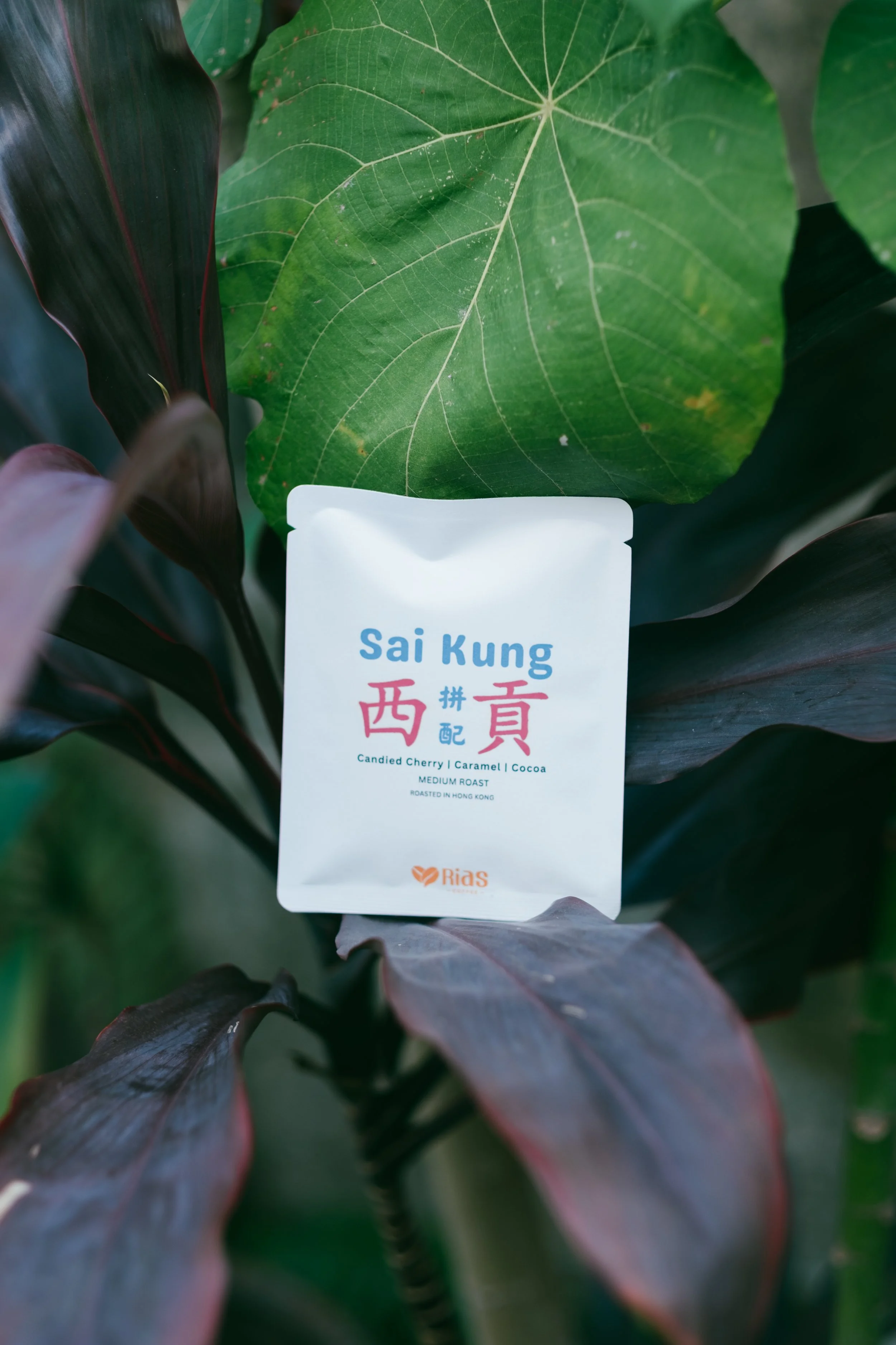 20260313-SK gift set-3.jpg