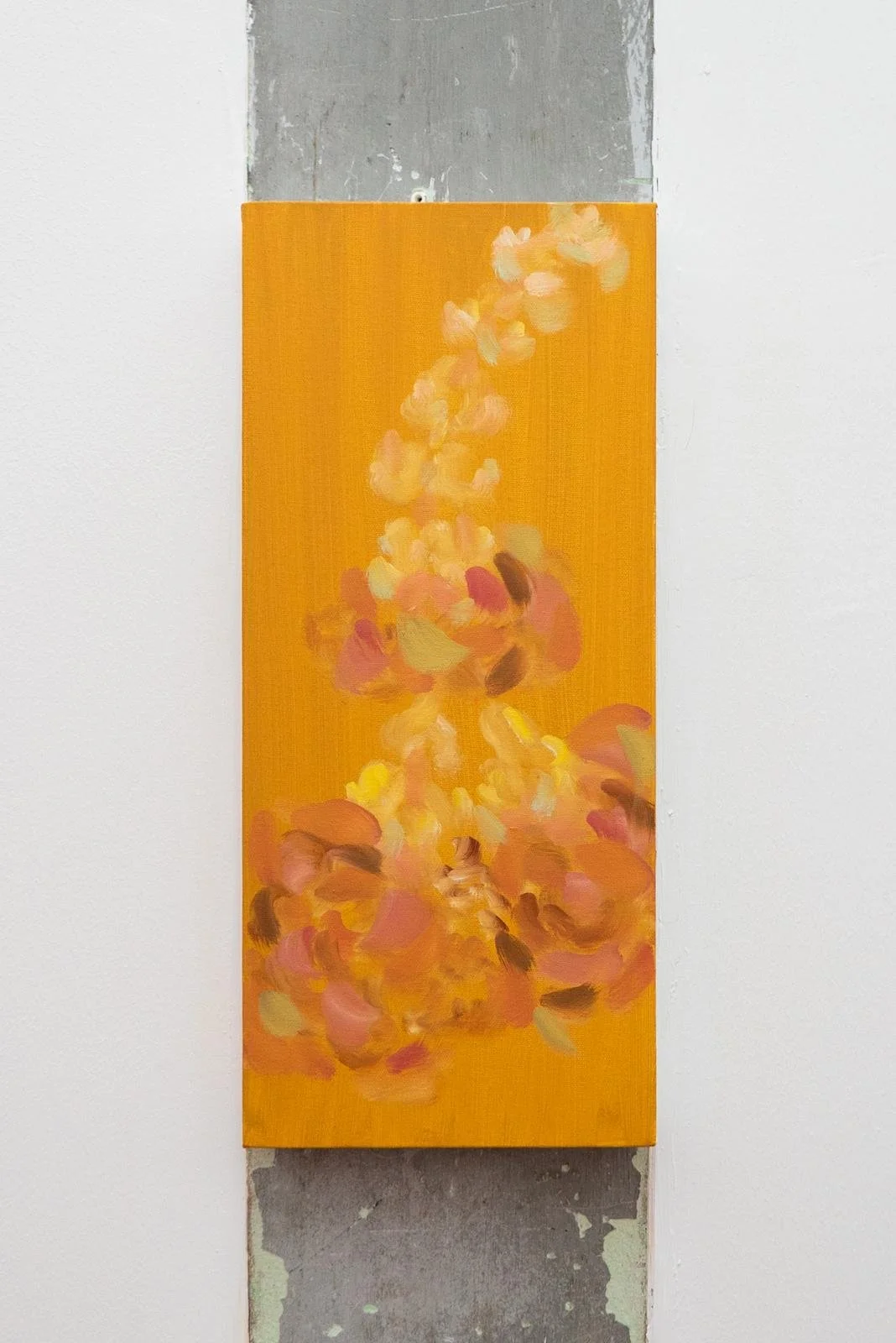 PHOTO-2026-02-10-16-39-57 4.jpg