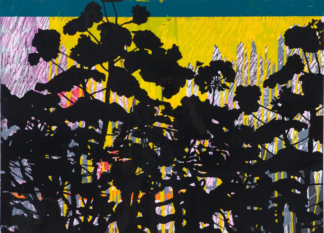 undergrowth.jpg
