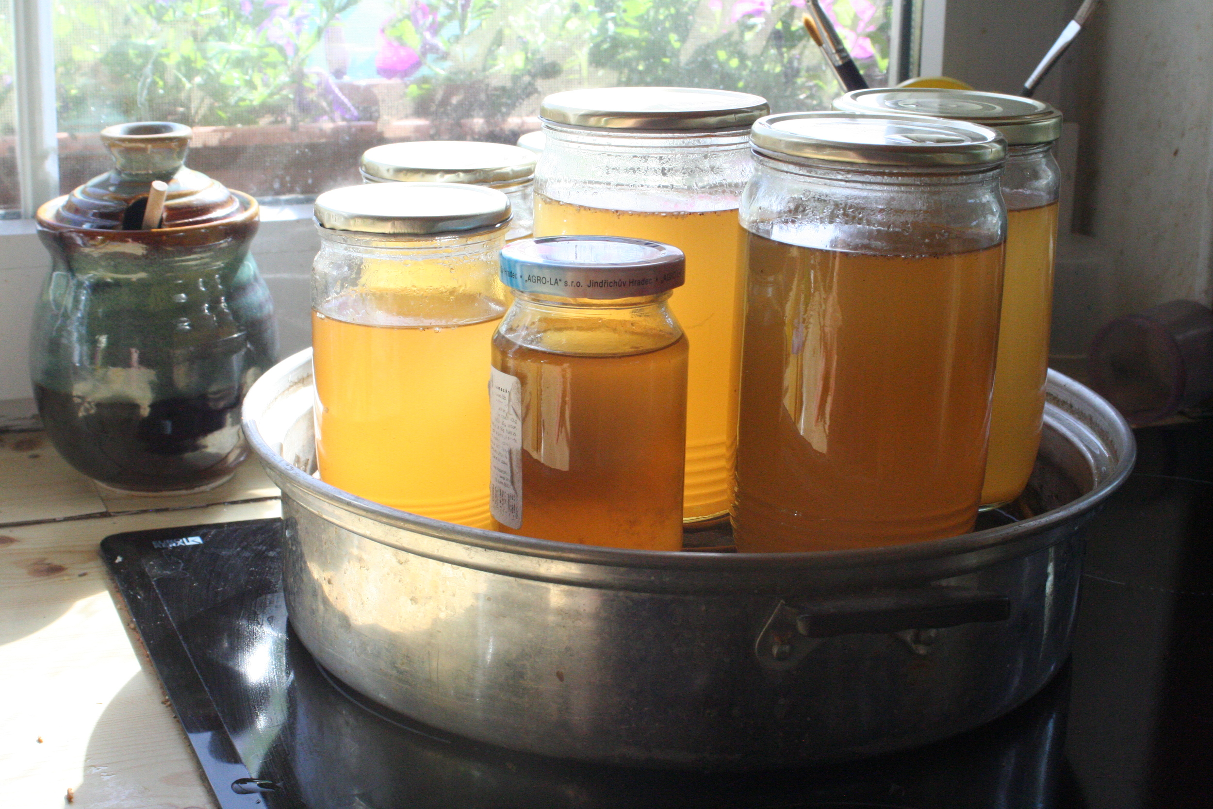 Refreshing elder flower summer drink