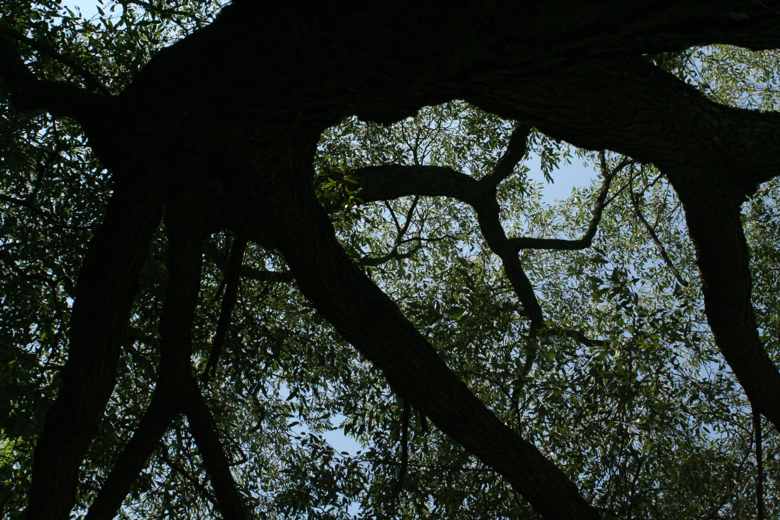 August 2014 031.JPG
